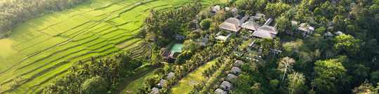 Maya Ubud Resort & Spa
